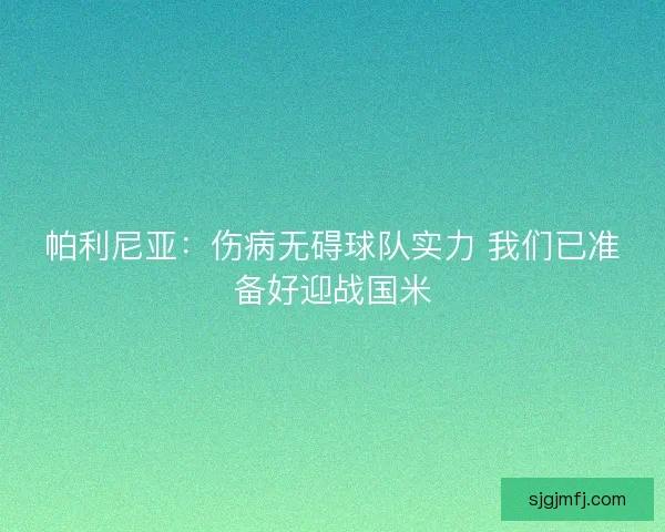 帕利尼亚：伤病无碍球队实力 我们已准备好迎战国米